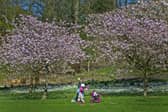 Leeds is a beautifully green city, with parks and green spaces just minutes away from the city centre