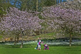 Leeds is a beautifully green city, with parks and green spaces just minutes away from the city centre