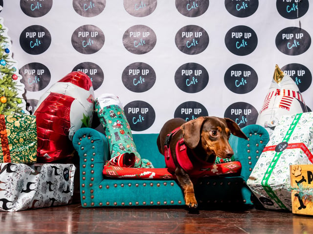 Ella was pampered as part of the luxurious festive celebration, with plenty of treats on offer.