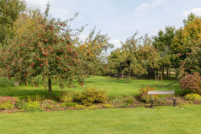 The grounds include a landscaped garden with an orchard, vegetable and soft fruit gardens, with around 3.5 acres of paddocks.