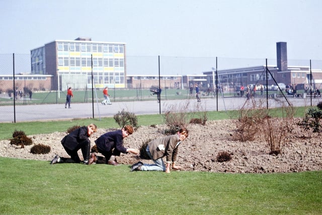 In the foreground are three boys working on the school garden. They are Colin Masser, Albert Butterworth and Michael Hall. Also seen are the tennis courts, playground and main entrance to the school. This photo dates back to March 1965.