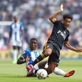 WARNING: From Brighton's Moises Caicedo, left, pictured tackling Leeds United's Tyler Adams in August's victory against the Whites at the Amex. Photo by Bryn Lennon/Getty Images.