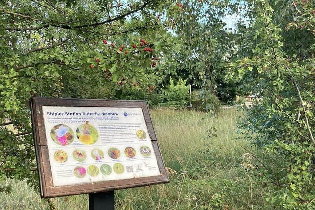 Shipley Butterfly Meadow