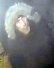 Image LD4175 refers to a burglary on February 9.