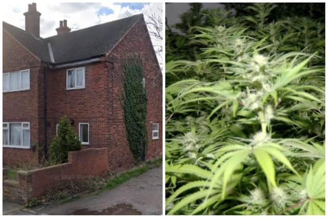 The two Albanians were arrested after they were seen entering the house on Bromley Grove in Wakefield with growing equipment. (pics by Google Maps / WYP)