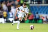 Leeds United's loan summer signing from Tottenham is not on international duty with Israel