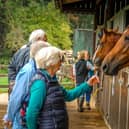 National Racehorse Week 2024