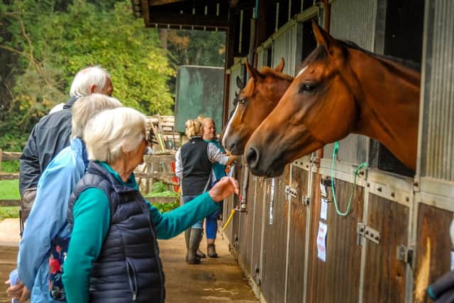 National Racehorse Week 2024