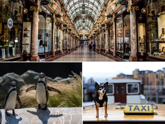 These pictures celebrate the very best of Leeds that only people from the city truly understand.