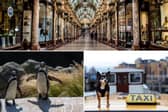 These pictures celebrate the very best of Leeds that only people from the city truly understand.
