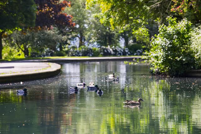 Crow Nest Park, in Dewsbury