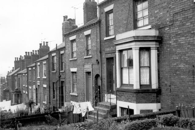 Looking across gardens at back to back houses in Highfield Terrace in July 1964.