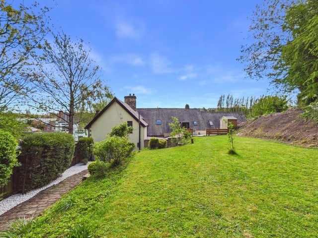 The garden is framed by a mature tree line with established shrubs, and is fully enclosed by fencing.