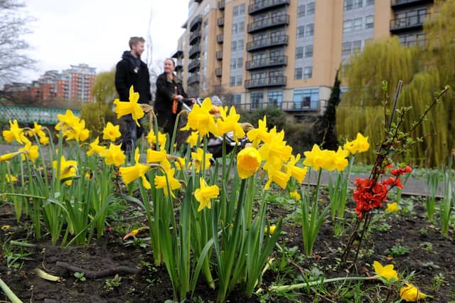 The Whitehall Riverside Pocket Park project has transformed an overgrown area that was full of invasive species and discarded litter.