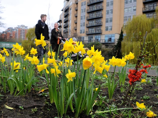 The Whitehall Riverside Pocket Park project has transformed an overgrown area that was full of invasive species and discarded litter.