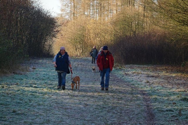 The frosty conditions didn't put off walkers - whether on two legs or four
