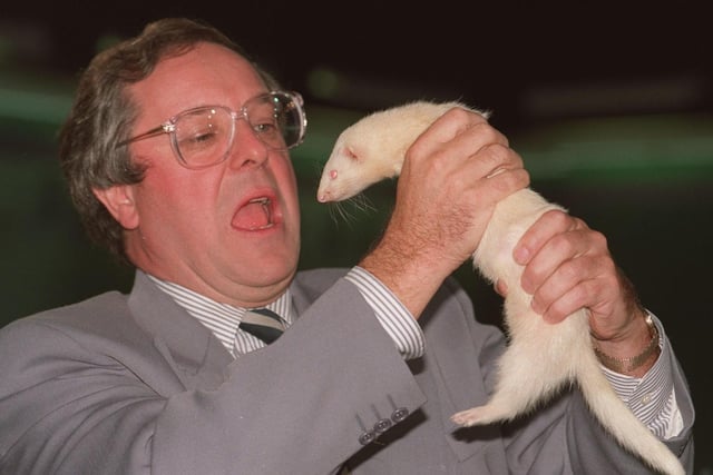 Countdown star Richard Whiteley is reunited with a ferret at the YTV studios in 1993, the same studios where years before he was famously bit on the finger by a ferret.