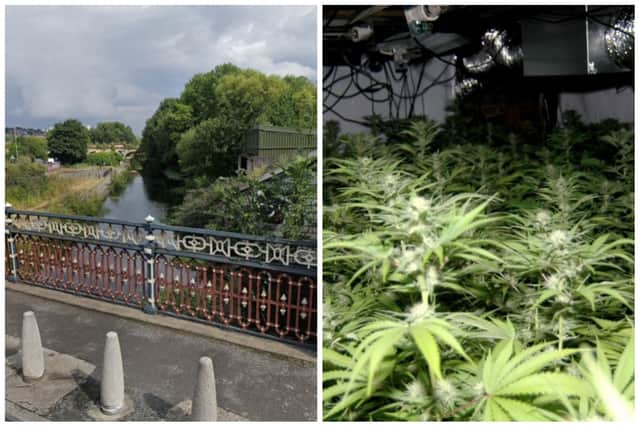 The "professional" cannabis factory was found on Canal Lane in Armley.