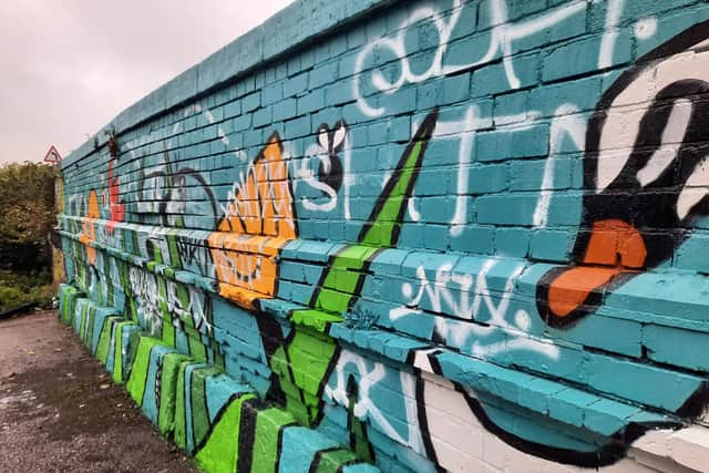 The new mural, by 27-year-old illustrator and artist Jaydon Rowbottom, adorns a wall along the canal in Armley - but volunteers were disappointed to discover it had been vandalised this week. Photo: Canal & River Trust.