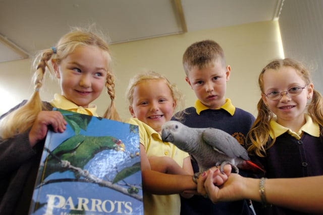 These pupils got to meet Alfie the African Grey parrot in 2009. Remember this?
