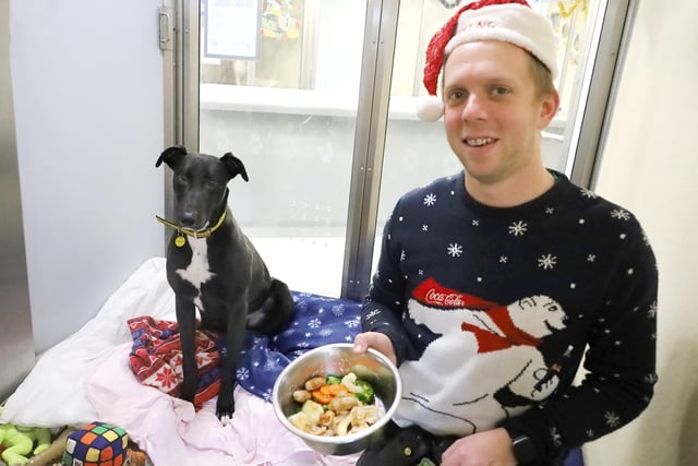 All of the dogs, including Eli who is pictured here, had their very own special, dog-friendly Christmas dinner thanks to local donors.