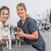 Amy Scott and Dr Lisa Flood with Preston, left, and Rupert at Chantry Vets