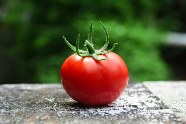 Image of a tomato