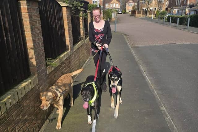 Annabel Maertens, owner of Paws on the Move.