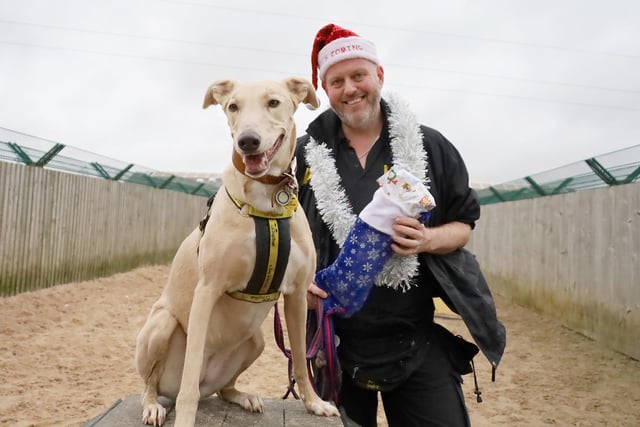 Lucy had clearly been a good girl as Santa left her a present on Christmas morning. The stunning two-year-old Lurcher is full of fun and is a favourite with handlers.