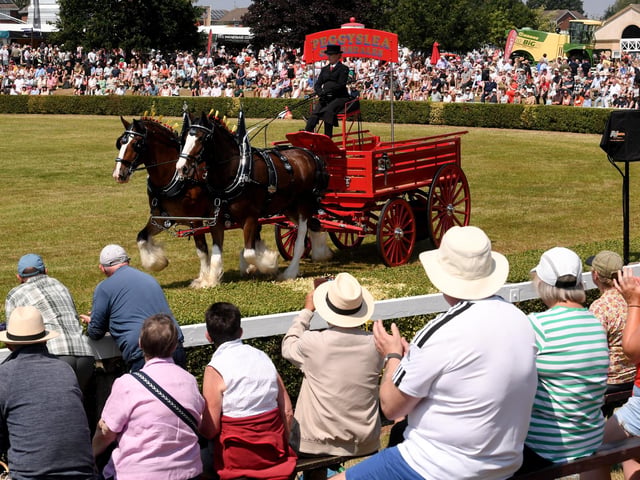 The magnificent Heavy Horse Parade takes centre stage in the Main Ring in the sunshine at the show
