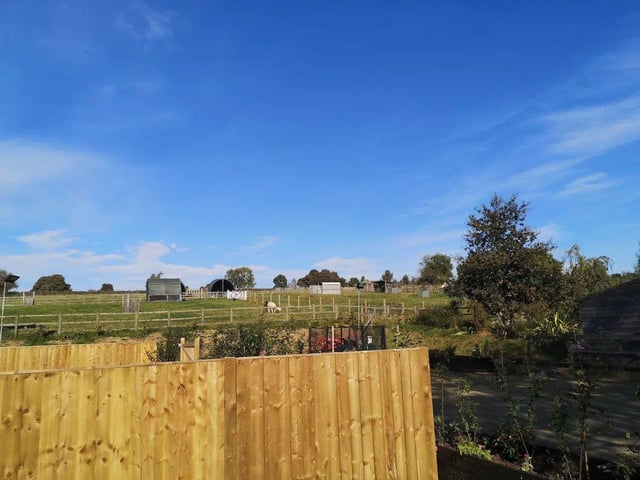 Views to the side of Woodland View lodge show the animals grazing.