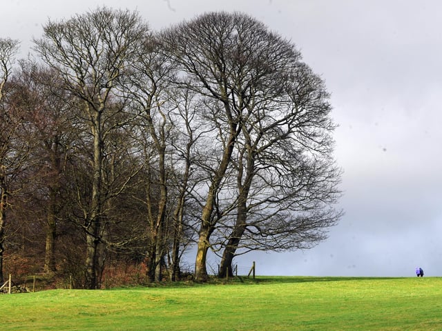 An ideal short walk for those limited on time, or during a lunch break from work, this two-mile circular route around Rawdon Billing offers everything. Varied terrain, wide open spaces and exposure to the elements means this walk is far from straightforward, but remains a popular route for many.