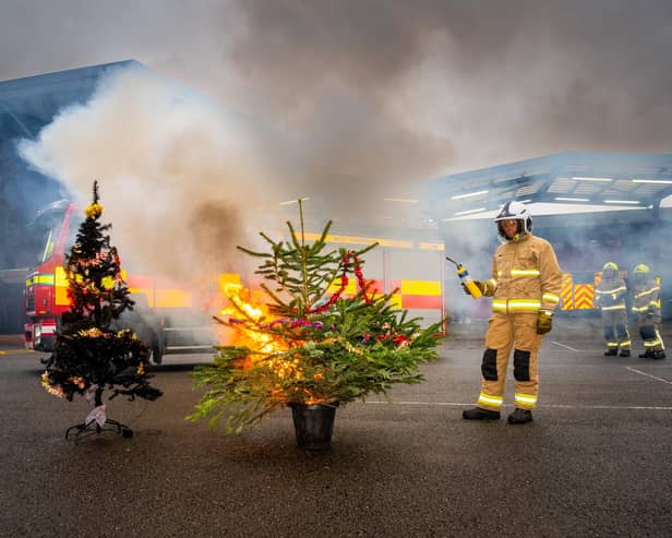 West Yorkshire Fire and Rescue Service conducted a controlled demonstration of a Christmas tree catching fire to show how these types of fires can take hold. Photo: James Hardisty