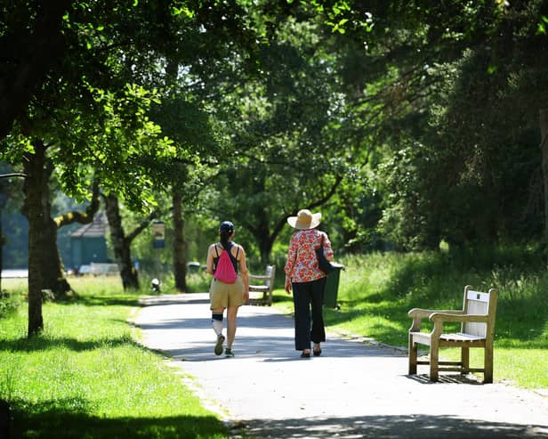 Walkers in Golden Acre Park, Leeds, in the heatwave. Picture: Jonathan Gawthorpe