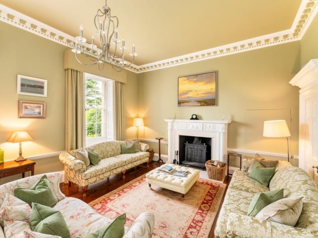 The reception rooms display exquisite Georgian cornice detailing.