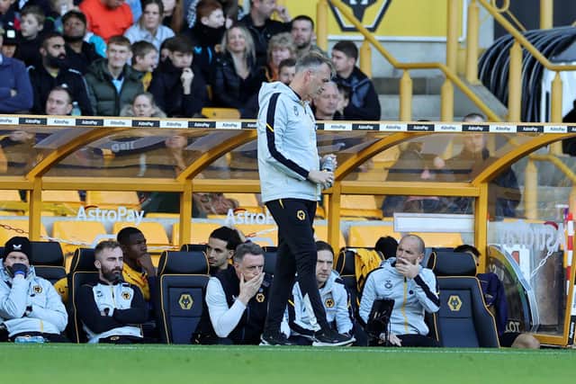 PLENTY OUT: For interim Wolves boss Steve Davis, above. Photo by David Rogers/Getty Images.