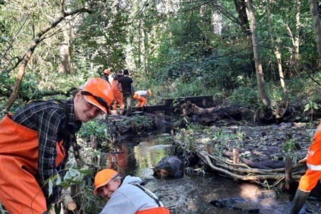 The Riverlution team in action.