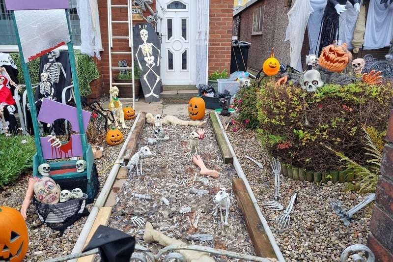 There are so many bones in this garden, can you spot them all? Shared by Heather Winter.