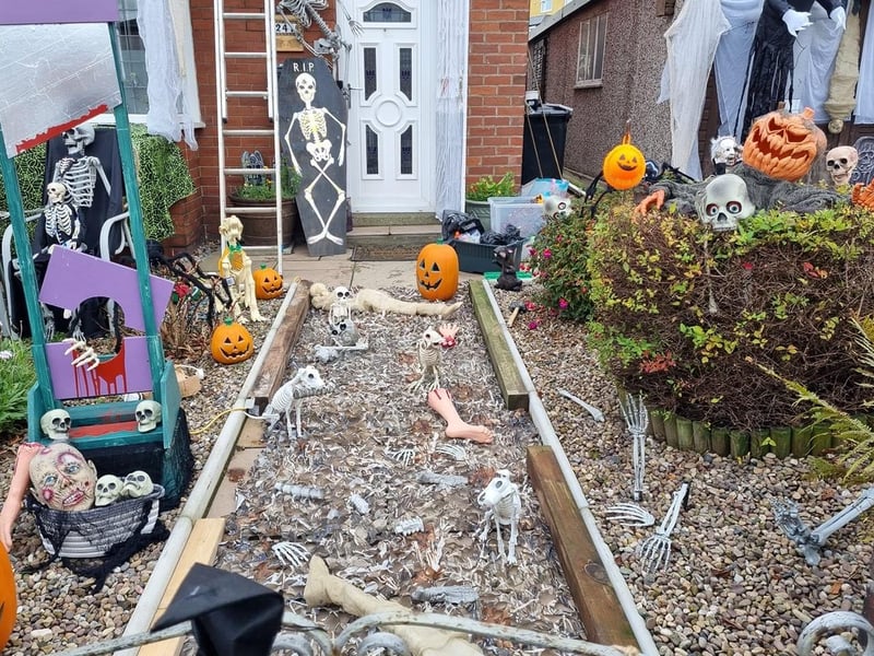 There are so many bones in this garden, can you spot them all? Shared by Heather Winter.