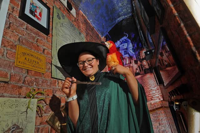 Catherine Hamilton’s Bramley house is filled to the brim with Disney and Harry Potter memorabilia (Photo by Tony Johnson/National World)