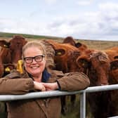 Rachel Hallos, NFU Vice President