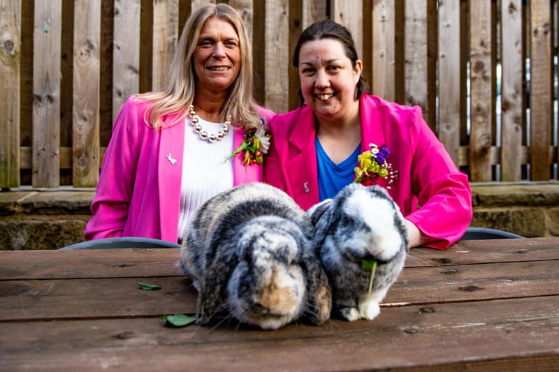 The pub's landlady and Meslier's owner, Sara Robinson, pictured with her friend and her pet rabbit Wilmer