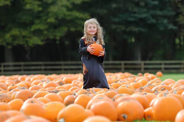 Spooky Halloween fun at Stockeld Park in October