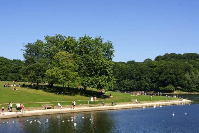Sunny day in Roundhay Park, Leeds. (Pic credit: Tony Johnson)
