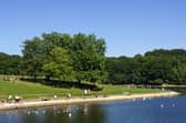 Sunny day in Roundhay Park, Leeds. (Pic credit: Tony Johnson)