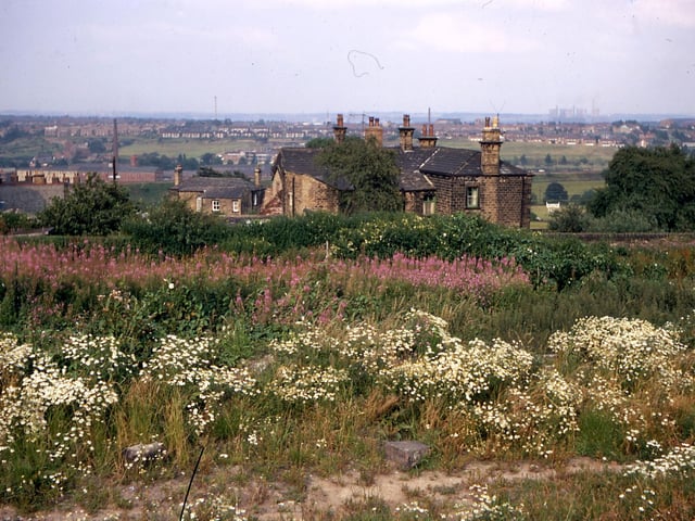 Back Green showing the stone built Springwell House in the centre, with green-painted woodwork, in July 1968. Behind it, in the background, is Coteroyd House, with white window frames. At the left edge, part of Back Green Methodist Chapel is visible with the Sunday School behind.