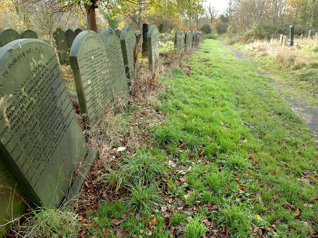 Guinea Grave Row at the Leeds Burial Ground on Beckett Street. PIC: Jonathan Gawthorpe