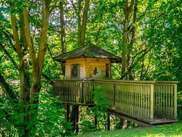 A bridge leads to this lovely little tree house in the grounds.