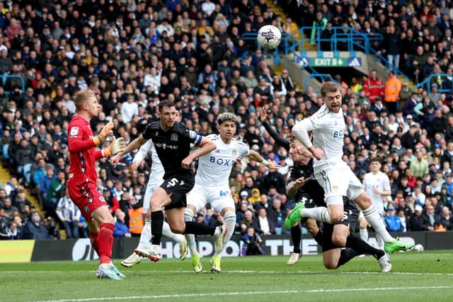 DISAGREEMENT: Between Leeds United forwards Patrick Bamford, right, and Mateo Joseph, centre. Photo by Ed Sykes/Getty Images.