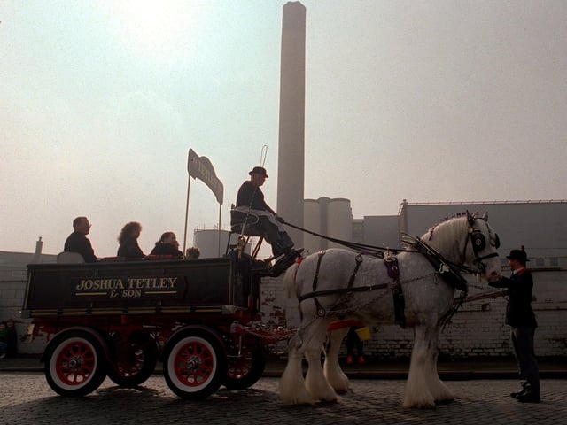 Tetley's Brewery Shire horses make their way through city centre for the Easter parade in April 1999.
